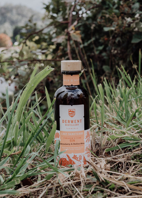 Forager's Find - Strawberry and Native River Mint Gin